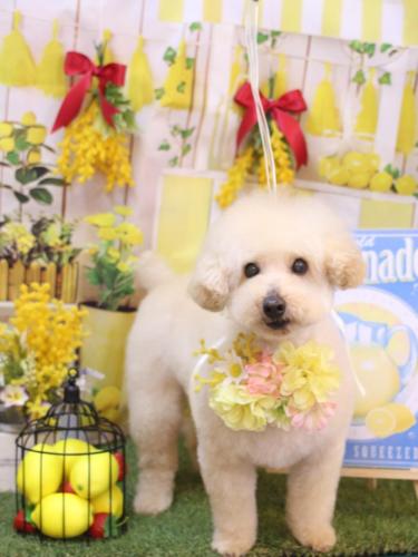 20240421こじろうくん